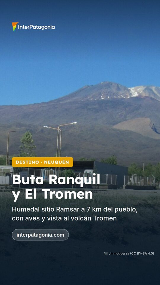 Historia: Buta Ranquil y El Tromen